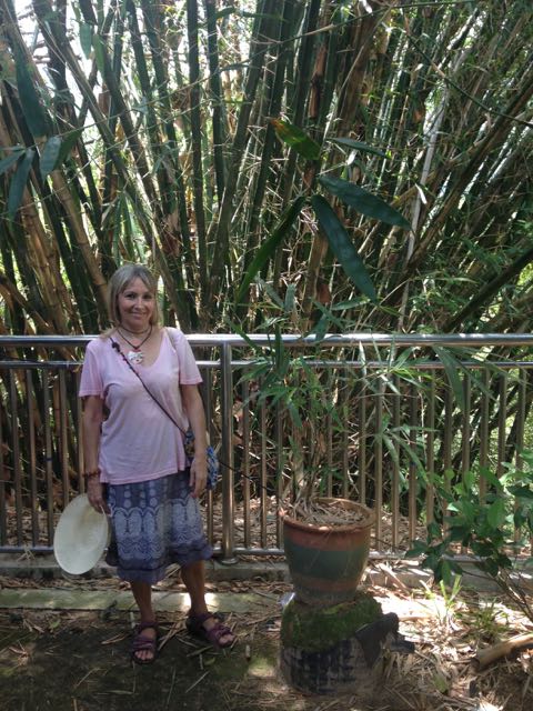 In front of bamboo trees