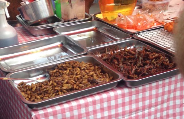Fried crickets and ...don't know?
