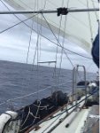 Day 4, (12:00 24th June 2018), Pos 35 – 20N, 143 – 16E Daily Run 126 NM. Weather, Calm but grey.