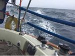 Day 10, 30th Jun. 37-58N, 161-32E. Daily Run: 143 NM. Weather: Foggy and swelly. 3224 NM to go